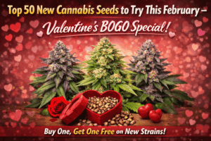 Top 50 New Strains 2026