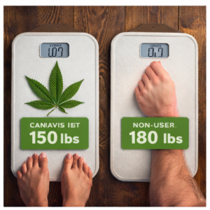 Weighing scale comparison between cannabis user and non-user
